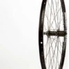 Alex DM18 Black/Shimano Acera FH-T3000 26-inch Rear -Shift N Wheel Sales the wheel shop double wall 26 inch alex dm 18 shimano acera fh t3000 rear 308186 1 13 3