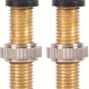 Wtb TCS Brass 46mm Valve Stems -Shift N Wheel Sales wtb tcs brass 34mm valve stems 203326 1