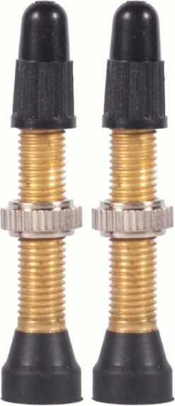 Wtb TCS Brass 46mm Valve Stems